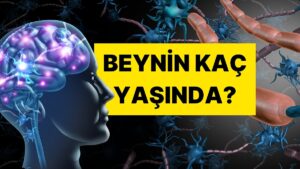 Bu 5 Sorudan En Az 3’üne “Evet” Diyorsanız Beyniniz Oldukça Yaşlı