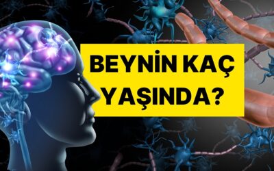 Bu 5 Sorudan En Az 3’üne “Evet” Diyorsanız Beyniniz Oldukça Yaşlı