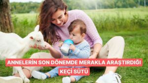 Anneler Arasında Merak Uyandıran Keçi Sütü Hakkında Bilmeniz Gerekenler