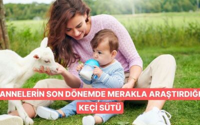 Anneler Arasında Merak Uyandıran Keçi Sütü Hakkında Bilmeniz Gerekenler