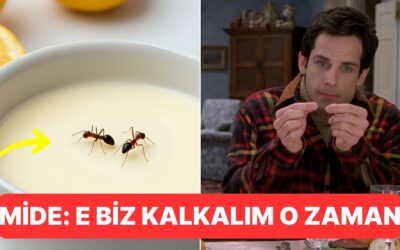 Michelin Yıldızlı Restoranda Karıncalı Yoğurt Tarifi Gündem Oldu