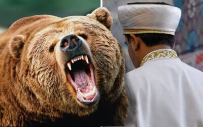 Kastamonu’da Mantar Toplayan İmama Ayı Saldırdı: Yaralı Olarak Kurtuldu