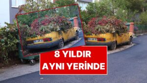 Sahibi Ölen Otomobil 8 Yıldır Aynı Yerinde: Hanımeller ve Sarmaşıklar Kapladı