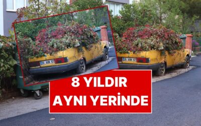 Sahibi Ölen Otomobil 8 Yıldır Aynı Yerinde: Hanımeller ve Sarmaşıklar Kapladı