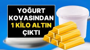 5 Kiloluk Yoğurtların İçinden 1 Kilo 241 Gram Altın Çıktı