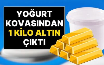 5 Kiloluk Yoğurtların İçinden 1 Kilo 241 Gram Altın Çıktı
