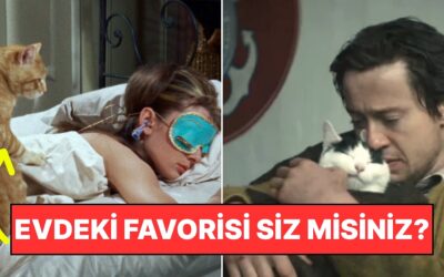 Kendinize Çok da Güvenmeyin: Kediniz Evde En Çok Kimi Seviyor?