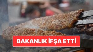Bakanlık Yeni Firmaları İfşa Etti: Adana Kebaba Her Şeyi Katmışlar