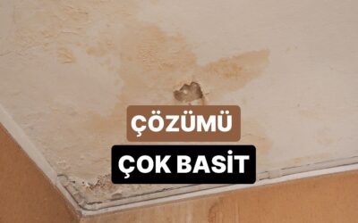 Her Şeyin Bir Çaresi Var! Ev Rutubeti Nasıl Temizlenir?