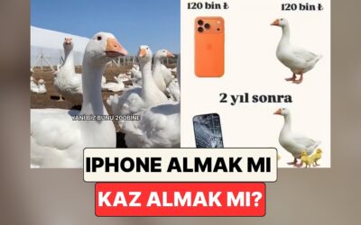 İnekten Sonra Şimdi de Kaz Hesabı: iPhone 17 Almak mı Yoksa Kaz Almak mı Daha Mantıklı?