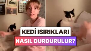 Kedilerin Isırık Saldırılarından Kurtulmak İçin Bulunan Bi&apos; Garip Yöntem