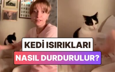 Kedilerin Isırık Saldırılarından Kurtulmak İçin Bulunan Bi&apos; Garip Yöntem