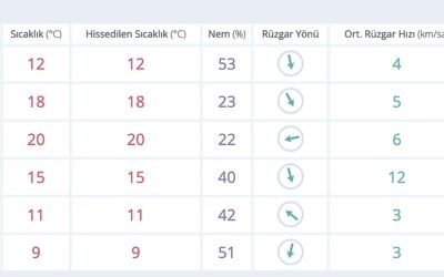 13 Kasım Perşembe Diyarbakır Hava Durumu: Bugün Diyarbakır&apos;da Hava Durumu Nasıl, Yağmur Var mı?