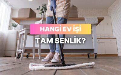 Hangi Ev İşi Tam Senlik?