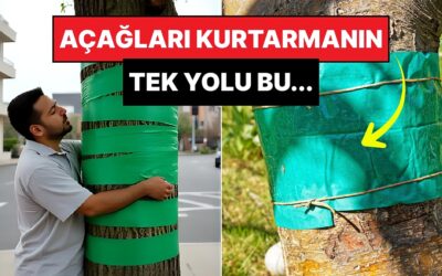 Avrupa'da Çiftçiler Mahsullerini Kurtarmak İçin Ağaçlara Bant Yapıştırmaya Başladı!