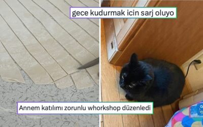 Kudurmak İçin Şarj Olan Kediden Anneden Gelen Zorunlu Workshop&apos;a Son 24 Saatin Viral Tweetleri