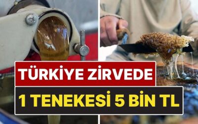 1 Teneke 5 Bin TL! Muğla, Dünyadaki Çam Balı Üretiminin %92’sini Karşılıyor