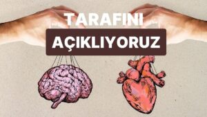 Aşk Hayatında Mantığın Ne Kadar Söz Sahibi?