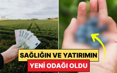 Yulaf Kaselerinin Gözdesi: Tarımda Gün Geçtikçe Değeri Artan Meyve Belli Oldu