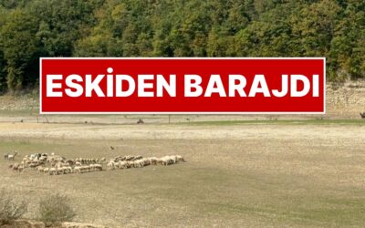 İstanbul&apos;a Su Sağlayan Barajdan Acı Fotoğraf! İSKİ Son Durumu Paylaştı