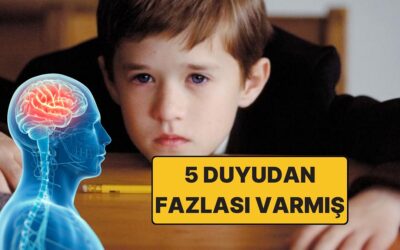 5 Duyudan Fazlası Varmış: Bilim İnsanları Açıkladı, Gizli Bir &quot;Altıncı Duyu&quot;ya Sahip Olabiliriz!