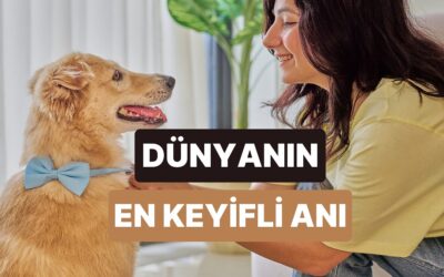 Evcil Hayvanınızla Dans Ederken Arkada Çalan Mutlu Şarkılar