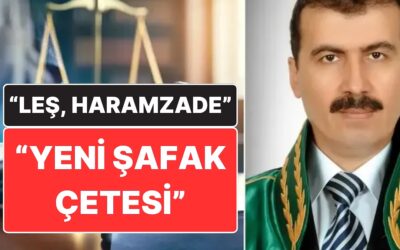 Yargıtay Daire Başkanından &apos;Yeni Şafak Çetesi&apos; Çıkışı: &quot;Mala Çökmelerine Fırsat Vermediğimiz İçin&quot;