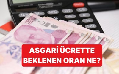 Asgari Ücret Görüşmelerinde Tarih Yaklaşıyor: Beklenen En Yüksek ve En Düşük Teklif Ne?