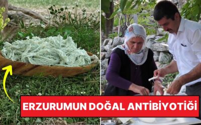 Fransa&apos;da Olsa Beğenirsiniz! Erzurum&apos;un Gizli Şifası Küflü Peynir