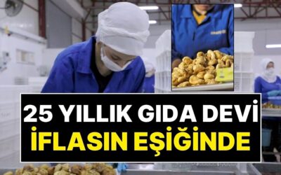 Konkordato İlan Etti: 14 Ülkeye İhracat Yapan 25 Yıllık Türk Gıda Devi İflasın Eşiğinde!