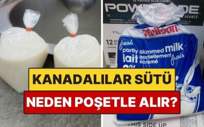 Kanadalılar Neden Sütü Poşetle Alır?