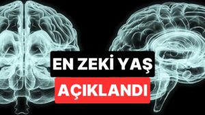 Bilim İnsanları Açıkladı: Bu Yaşta Beynimiz Zirve Noktaya Ulaşıyor