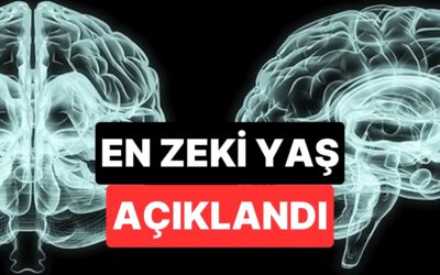 Bilim İnsanları Açıkladı: Bu Yaşta Beynimiz Zirve Noktaya Ulaşıyor