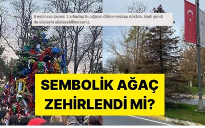Her Yılbaşında Süslenen YTÜ&apos;nün Sembol Ağacı Yıldızlı Ağaç Zehirlendi mi?
