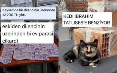 Ekonominin Bitmesinden Ünlü Benzeri Kedilere Son 24 Saatin Viral Tweetleri