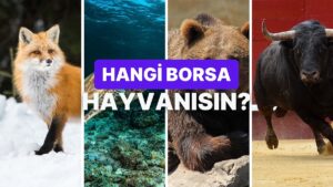 Senin Finansal Karakterin Hangi Borsa Hayvanı?