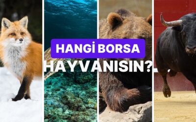 Senin Finansal Karakterin Hangi Borsa Hayvanı?