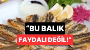Çocuğunuza Asla Vermeyin: Ünlü Diyetisyen En Sağlıksız Balığı Açıkladı