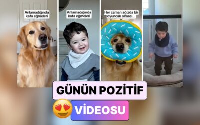 Birlikte Büyüyen Bir Köpek ve Bir Bebeğin Birbirlerinin Aynısı Gibi Göründüğü Anlara Kalbinizi Bırakacaksınız