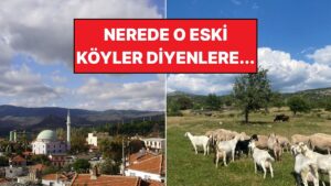 Orda Bir Köy Var Uzakta: İzmir'in Eşi Benzeri Olmayan Köyü Sizi Bekliyor