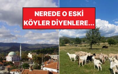 Orda Bir Köy Var Uzakta: İzmir&apos;in Eşi Benzeri Olmayan Köyü Sizi Bekliyor