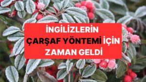 İngiltere&apos;de Yaşayanlara &quot;Bahçenize Bir Çarşaf Serin&quot; Uyarısı