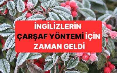 İngiltere&apos;de Yaşayanlara &quot;Bahçenize Bir Çarşaf Serin&quot; Uyarısı