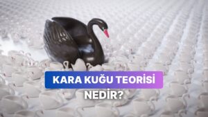 “Kara Kuğu” Teorisi Nedir? Ekonomide “Kara Kuğu” Olayının Sonuçları
