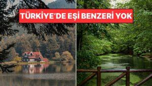 Yeşillik Denince Akla İlk O Gelir: Bolu&apos;nun Nesi Meşhur? Bolu&apos;da Ne Yenir?