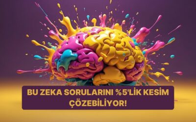 Bu Zeka Sorularını Sadece %5’lik Kesim Çözebiliyor!