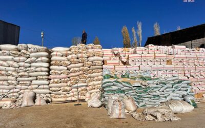 Saman fiyatları 8 bin liraya fırladı