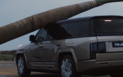 Elektrikli aracın üstüne 2 tonluk ağaç düştü! Çizik bile almadı