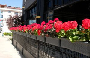 Türkiye'den 80 ülkeye gidiyor: Dünya bu ürünü kasa kasa bizden alıyor