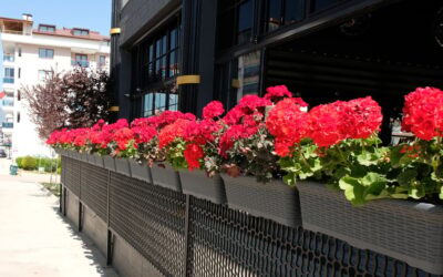 Türkiye'den 80 ülkeye gidiyor: Dünya bu ürünü kasa kasa bizden alıyor